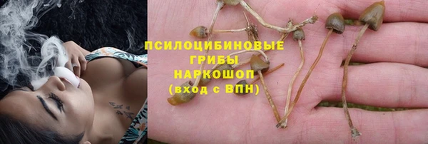 круглые Козельск