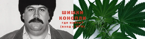 ГАЛЛЮЦИНОГЕННЫЕ ГРИБЫ Костерёво