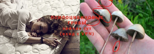 мдма Корсаков