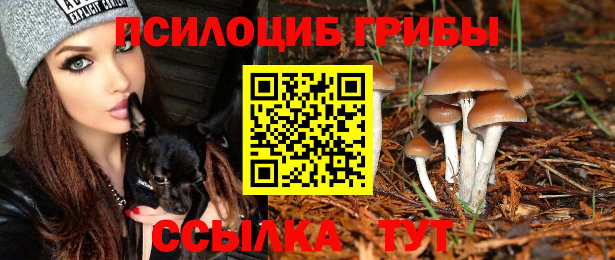 Псилоцибиновые грибы Psilocybine cubensis  Галлюциногенные грибы Psilocybe  Вход с VPN  Лангепас 